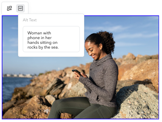 alt text alt text